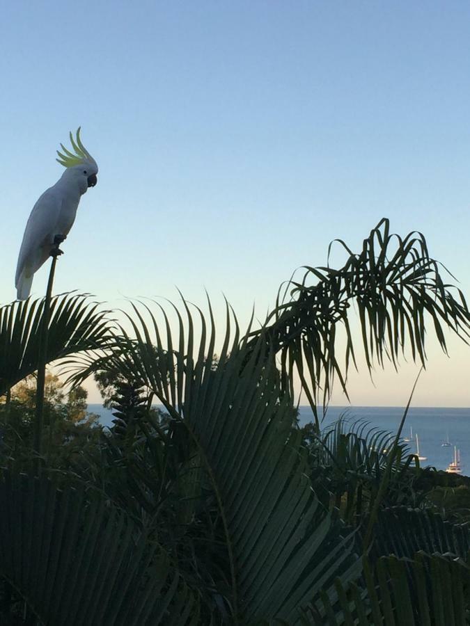 Bed and Breakfast Island Views Airlie Beach Zewnętrze zdjęcie